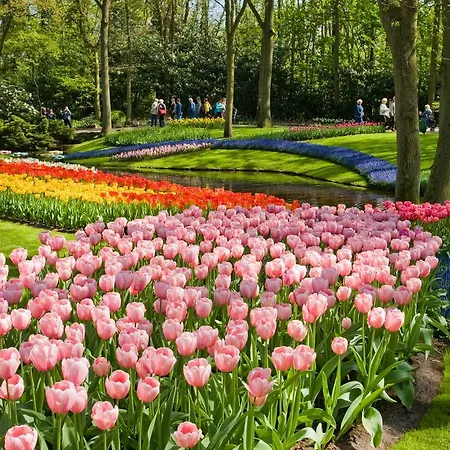 Golden Tulip Centre Hotel Leiden