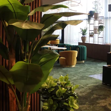 莱顿金色郁金香中心酒店 酒店 4*