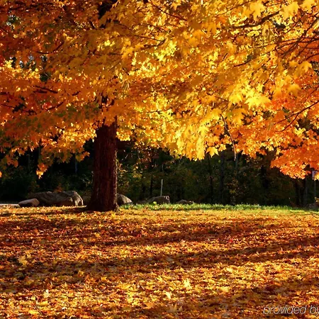 Golden Tulip Centre Hotel