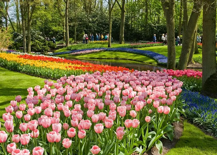 골든 튤립 라이덴 센터 호텔 레이든