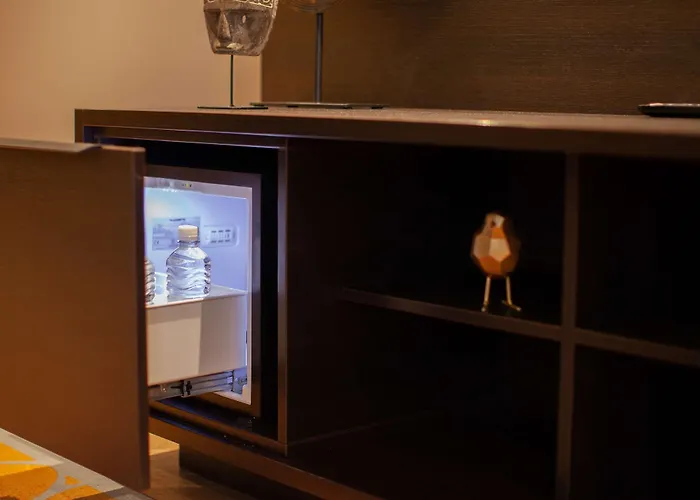 莱顿金色郁金香中心酒店 4*