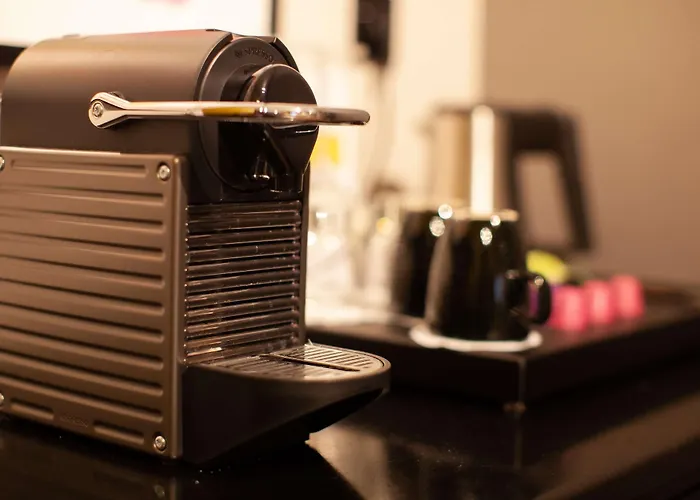 골든 튤립 라이덴 센터 호텔 4*