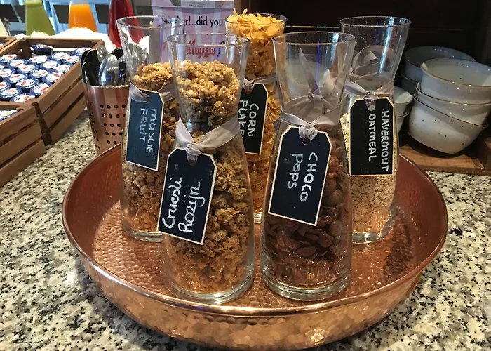 莱顿金色郁金香中心酒店 4* 莱顿