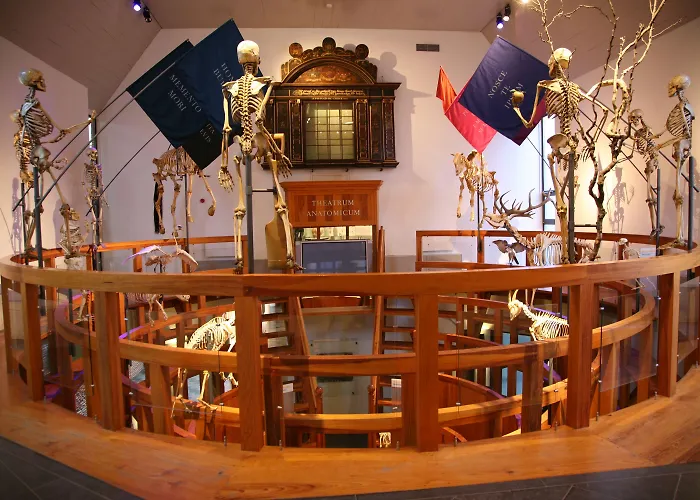 Golden Tulip Centre Leida