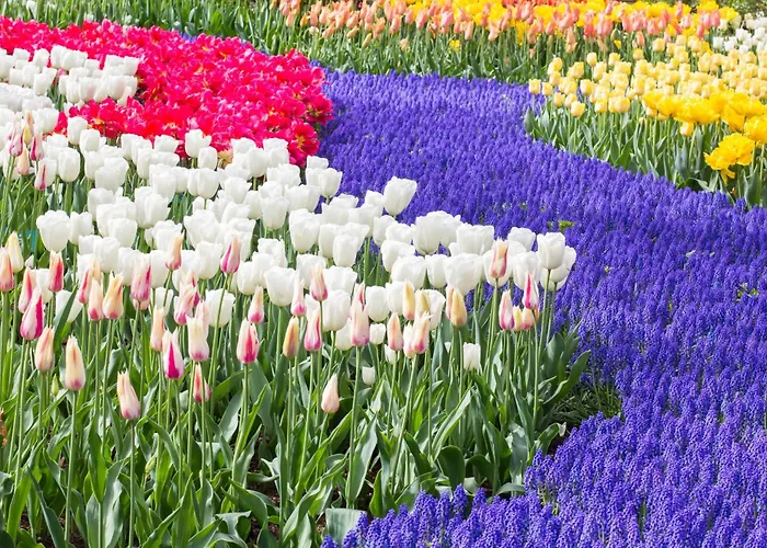 호텔 골든 튤립 라이덴 센터 레이든