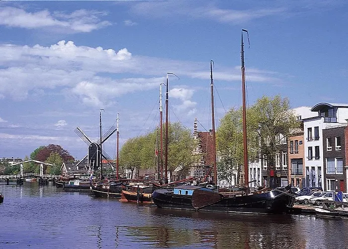 莱顿金色郁金香中心酒店