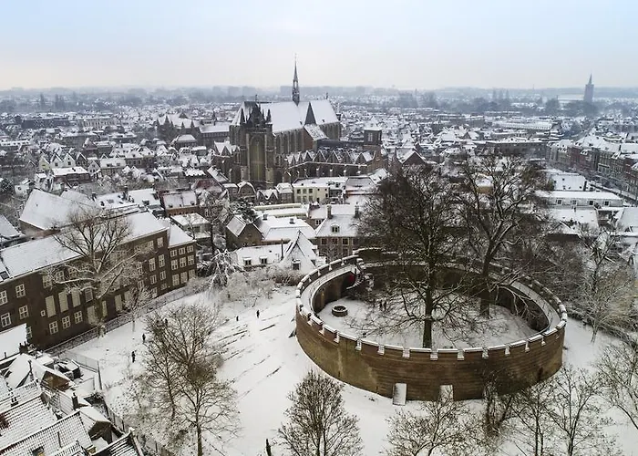 莱顿金色郁金香中心酒店 酒店 4*