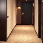 골든 튤립 라이덴 센터 호텔 4*