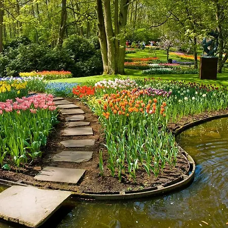 Szálloda Golden Tulip Centre