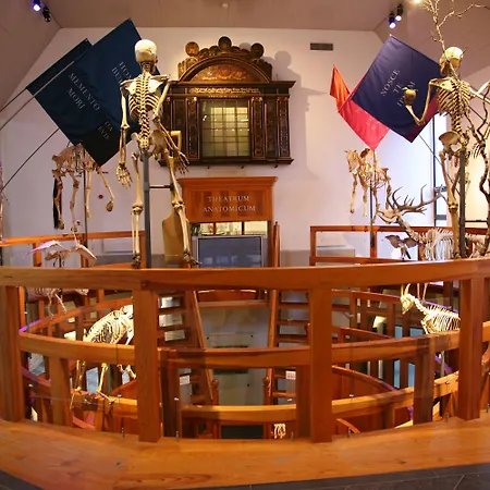 Golden Tulip Centre Leiden