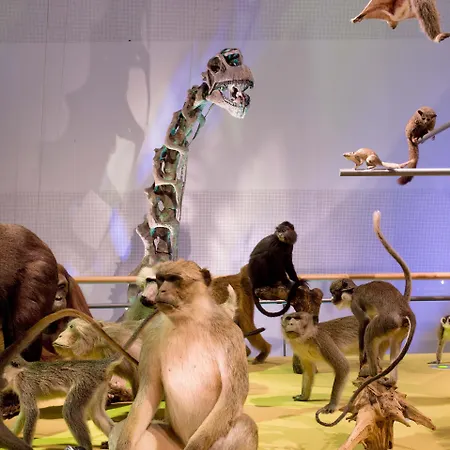 Golden Tulip Centre Leiden